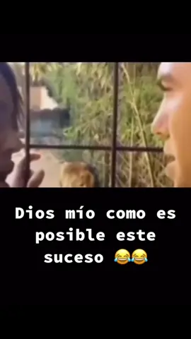 #Recuerdos #videosgraciosos #foryoupage #viral_video 