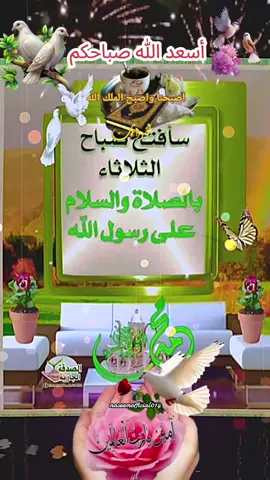 سبحان من انار الصباح بقدرته  وسجدت المخلوقات لعظمته ووهبنا الحمد والشكر على نعمته 16/09/2025 دعاء يوم الثلاثاء 🙏🙏🙏🌹 اللهم في يوم الثلاثاء 🌷🌷🌷 # #دعاء_يوم_الثلاثاء  #صباح_الخير   #اللهم_لك_الحمد_ولك_الشكر #اللهم_صلي_على_نبينا_محمد #اللهم_امين_يارب_العالمين 
