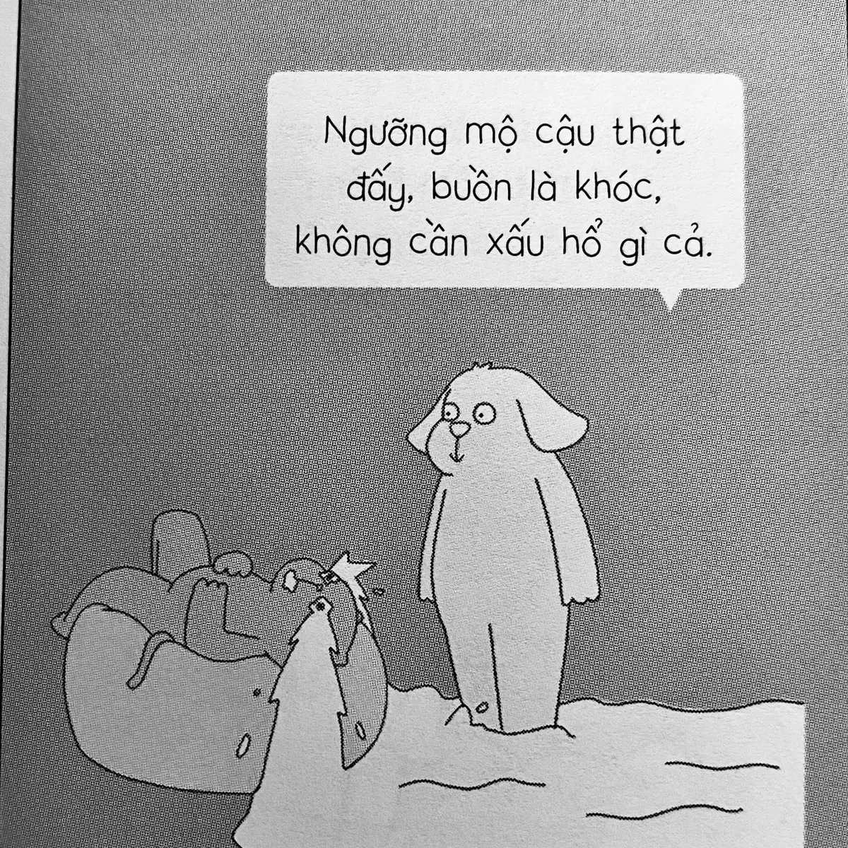 Cảm ơn cậu vì đã cho phép bản thân mình được buồn bã khi mệt mỏi  #saurienghiu #trietlysongcuachovameo #fypシ゚ #BookTok 