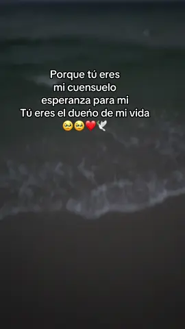 Tú eres dueño de mi vida  #paratiii#fyppppppp #tueresmiconsuelo🔥💌🎶♥️ 