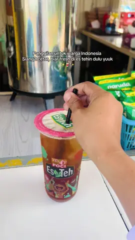 Segernya terasa sampe sana gak .. #tehpoci #esteh #estehpoci #fypage 