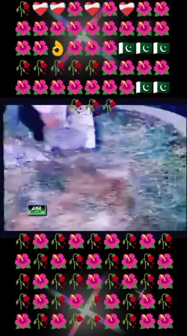 #2025newyear ##runa Laila ki awaaz mein yah gana