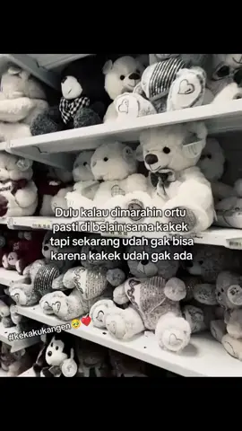 andai aja aku ada saat dia menghembuskan nafas terakhirnya #kekakukangen