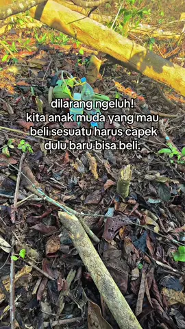 yang mau apa-apa harus cape dulu😥 #petanimuda #petanimilenial #petaniindonesia🇮🇩🇮🇩🇮🇩🌿🌿 