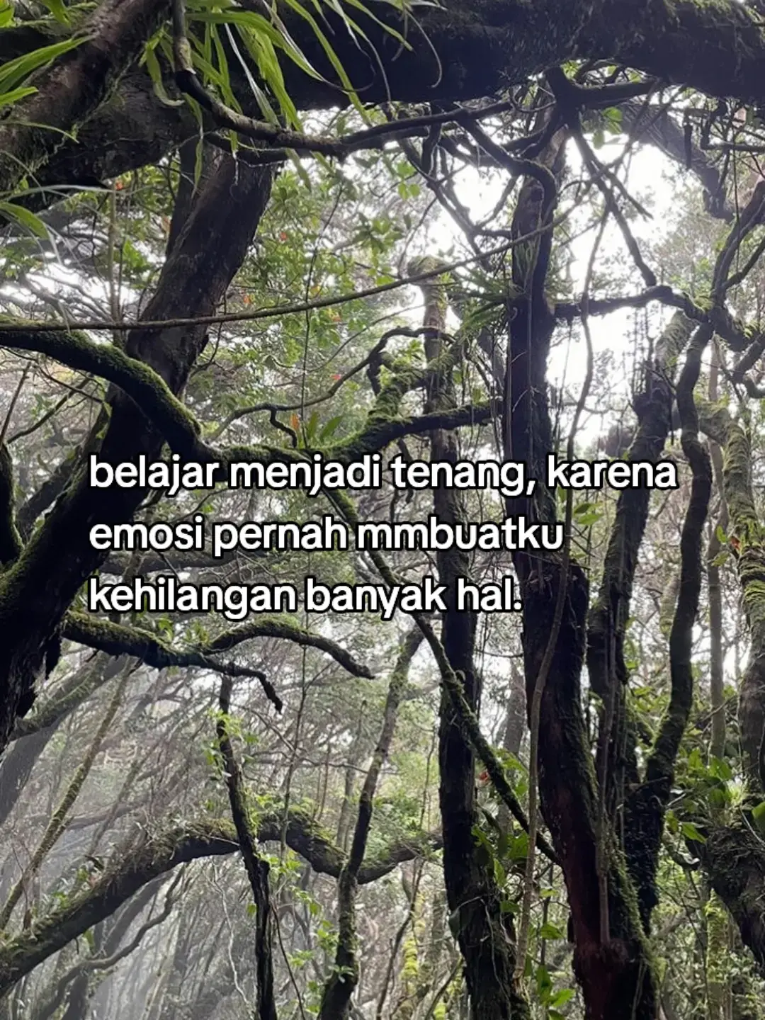 📄Bahan: 1. Buat adonan terlebih dahulu. Siapkan loyang berbentuk persegi panjang dan oles 2. Kocok 4 butir kuning telur, gula halus, dan mentega dengan mixer hingga mengembang. 3. Masukkan keju parut ke dalam adonan. Aduk merata dengan speed mixer rendah. 4. Masukkan tepung terigu dan vanili. 5. Aduk hingga membentuk adonan yang bisa dibulatkan. 6. Bulatkan kue dengan tanganmu. 7. Pipihkan adonan kue, kemudian masukkan selai ke tengah adonan kue. Buat bulatan. 8. Potong kismis dan letakkan sepotong kismis di atas kue. 9. Oleskan permukaan kue dengan kuning telur. 10. Pastikan oven sudah dipanaskan sebelum memasukkan kue nastar. 11. Panggang kue nastar dalam oven selama.  30 menit dengan api atas bawah dan suhu 150 derajat Celcius.  12.Setelah matang, keluarkan nastar dari oven. 13. Nastar siap disajikan! #fyp #fypage #foryou 