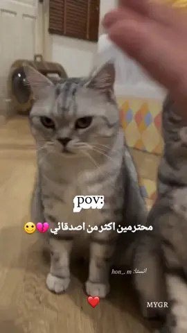 😂 😂 