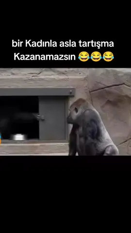 #kadın #😂😂😂 #komedi #😁😁😁 #günaydın 