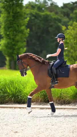 @Simone| Equine Content Creator #horse #horsesoftiktok #dressage #horselover #showjumping 