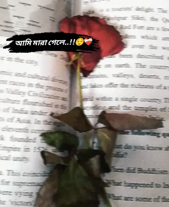 #vairalvideo #foryoupageofficiall #bangladeshtiktok #fffffffffffyyyyyyyyyyypppppppppppp #foryoupage 