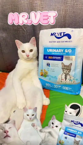 MR.VET E2🩵💙 #Mrvet #Eseries #Mrvet_E2 #Uroguard5dmatrix#มี่เด็กรถ 