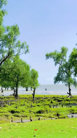 guliakhali beach. #foryou #weather #sea #view #bdtiktokofficial 