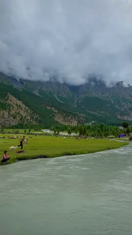 Basho Meadows Skardu ♥️🇵🇰 Book your By-Air & By-Road Trip with us 👇🏻 WhatsApp: +923489930504 We Organise By Road & By Air Trips I| group tours Il private tours Il Honeymoon tours Il Customised tours Il By air and By Road tours Il A: List of every week public tours to different destinations from Lahore- Faisalabad & Islamabad Our Tour Packages: 08 Days Grand Hunza + Skardu Tour 07 Days Skardu, Deosai & Basho valley 06 Days Skardu & Basho valley 05 Days Hunza-China boarder & Nalter 05 Days Fairy Meadows & Nangaparbat 03 Days Swat-Kalam & Malamjabba 03 Days Arangkel Neelum valley Kashmir 03 Days Kumrat valley Tour 03 Days Naran Kaghan  B: By air trips - 5 Days By air trip to Skardu valley - 5 Days By air trip to Hunza valley - 8 Days Hunza valley plus skardu valley For Further Details Dm us, WhatsApp +923489930504 #explorepage  #unfreezemyacount #dildilpakistan #fyp #explore  
