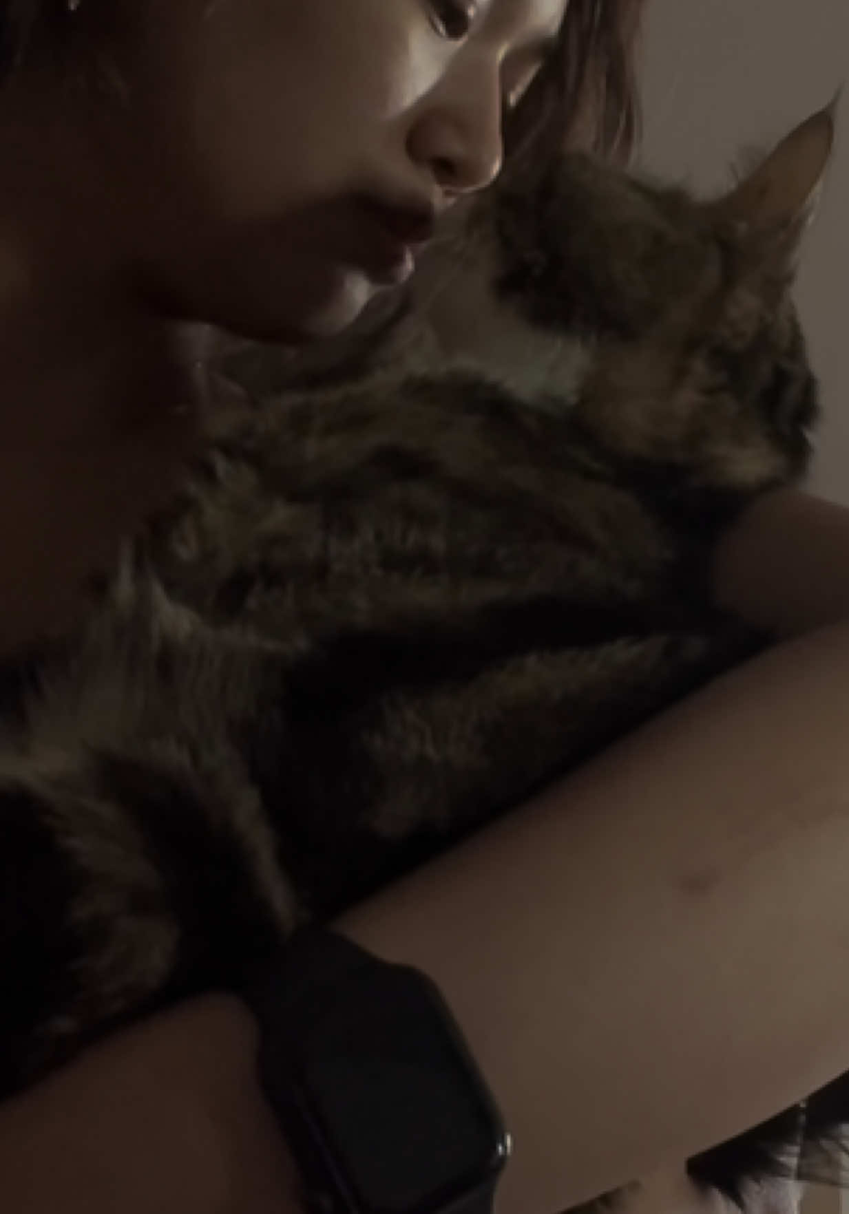 its been 2 years but you’ll always be my greatest heartbreak my love… you were gone to soon and it breaks me everytime I think of it.