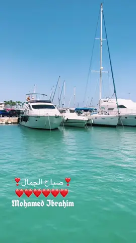 #جميع #فديوهات #صفحتي #من #تصويري 