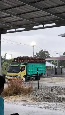 🤩🤩 #trukmaniaindonesia #foryou #pejuangrupiah #xybca #kulisawit 