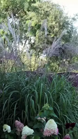 Вересень нагадує: краса поруч🧡