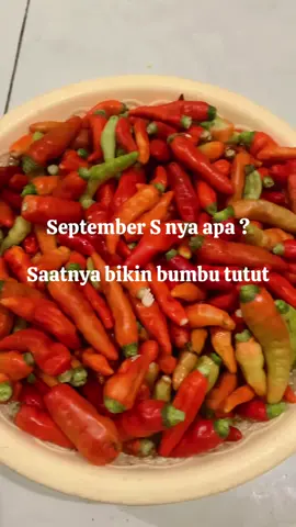 untuk besok tgl 17 september 2025 tutut full book, ada lebihan kita ngewar🔥  #fyp #fypシ #fypdenpasar #kulinerdenpasar #tutut 