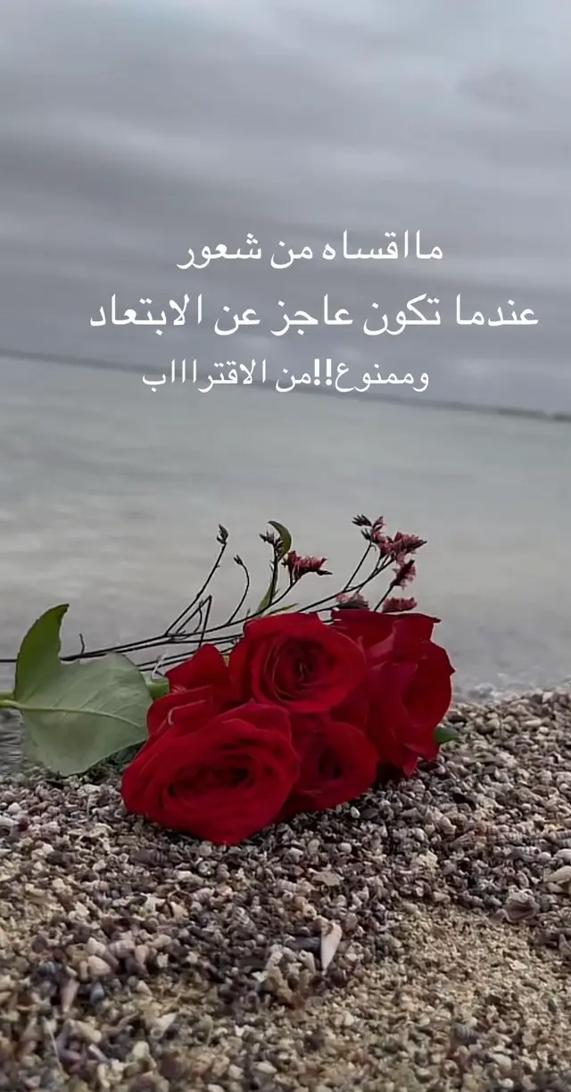 #اكسسسبلوووررر🕊️💌💔 