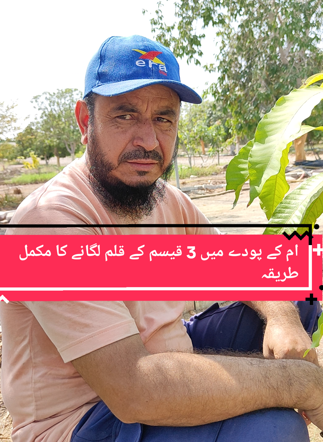 #viralvideo#grafting#viralvideo#dubai🇦🇪 @Gul zareen 