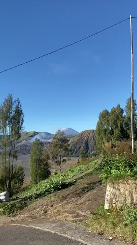 Bromo via probolinggo gak ada obat 😍 #bromomountain #probolinggo #fyp #xyzbca #fyppppppppppppppppppppppp 