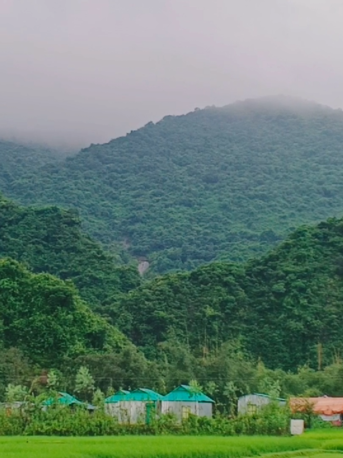 ভাইরাল গান..!❤️🥀 #viral #viralvideo #tiktok #foryou #photography 