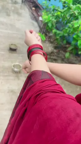 বৃষ্টি+শাড়ি 🥹🥹#creatorsearchinsights #fypシ゚viral #tiktokviral #fyyyyyyyyyyyyyyyy 