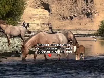 ❤️♾️ . .