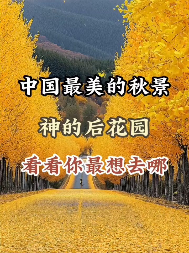 China travel: Top 5 must-visit places in autumn; 中国最美秋景 #chinatravel #autumninchina #中国最美秋景 #秋天的景色