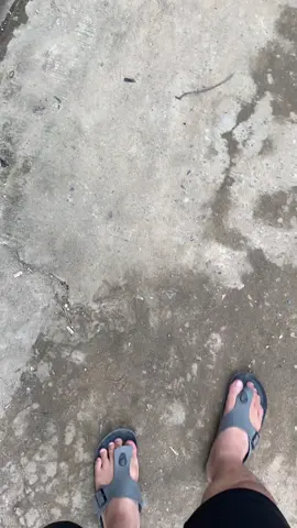 Alhamdulillah kado ultah tahun ini  #aeroxalpha #aerox155 #aerox 