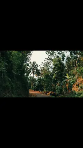 jalan pulang  #banjarnegara  #pagedongan  #twelagiri  #sikele 