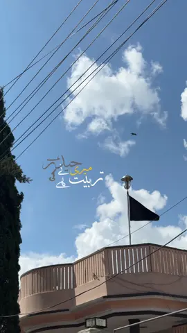 Bhool toh nai gaye hamen? 🥹 #shia #molaabbas #alameabbas #aesthetic #foryoupage 