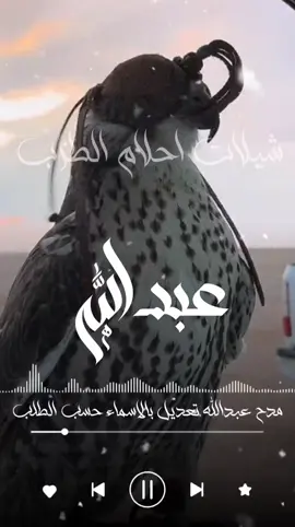يا عبدالله انت النعم خذته بدون قياس  شيله مدح عبدالله مهنا العتيبي  من بني عمي هلا الوقفات والسلايل شيله مدح بني عمي جديد  اسمك يا عبدالله مايجهله غير الذميم  شيله باسم عبدالله جديد  مرحبا يا نايف المطنوخ  شيله باسم نايف جديد  سلامي على سلطان ولافيه احتزم  شيله باسم سلطان جديد  اخوي وذراعي الايمن ونبراسي  شيله باسم أخوي جديد امحمد اليا حضر صاب الخصوم  شيله باسم محمد جديد  يامحمد يالفخر يالوجيه ابن الوجيه  شيله باسم محمد جديد  مرحبا يا نايف المطنوخ  شيله باسم نايف جديد وين قالوا العز ويش اسمه قلنا محمد  شيله باسم محمد جديد  امحمد اليا حضر صاب الخصوم  شيله باسم محمد جديد  سلامي على سلطان والي فيه احتزم  شيله باسم سلطان جديد  حبيب القلب ناصر حبيب الروح ناصر  الدنيا كلها ناصر شيله باسم ناصر  مرحبا يا نايف المطنوخ  شيله باسم نايف جديد  #استديو_احلام_الطرب  #اكسبلوررررررررررررررررر  #الشعب_الصيني_ماله_حل😂😂 