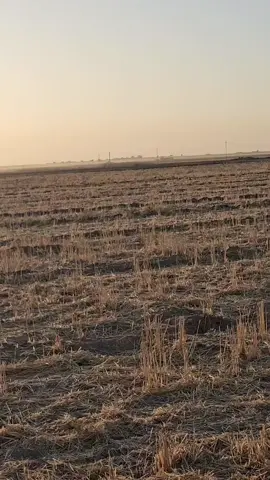 #صيادين_العراق #كركوك #بغداد #العراق 