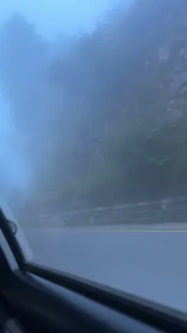 life #foryouofficial #fypシ #follow 