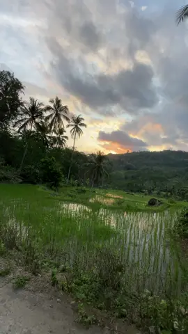 Menimati alam yang damai