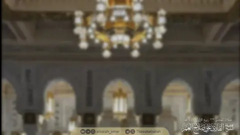لِسماع التلاوة كاملة في قناة التلقرام  #علي_صلاح_عمر #تلاوة_خاشعة #quran #سورة_القصص #explore 