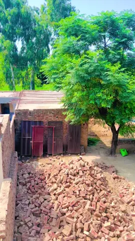 #میئو #پنجاب #میئو #forupage #پنڑاں_آلے_🔥 #viral #viralvideos #punjab @Sonu Raj @ミ★𝓓𝓻 𝓚𝓪𝓼𝓱𝓲𝓯 ★彡🏴‍☠️ @ᴥ ®️🅰️J🅿️☉☉✝️ᴥ🦅 @🦅👑میؤ راجپوت⚜️🏴‍☠️🚩 