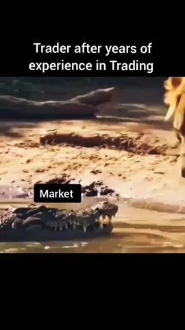 Trader after Years of Experience in Trading. #memes #gold #tradingmemes #shorts #viralvideo 