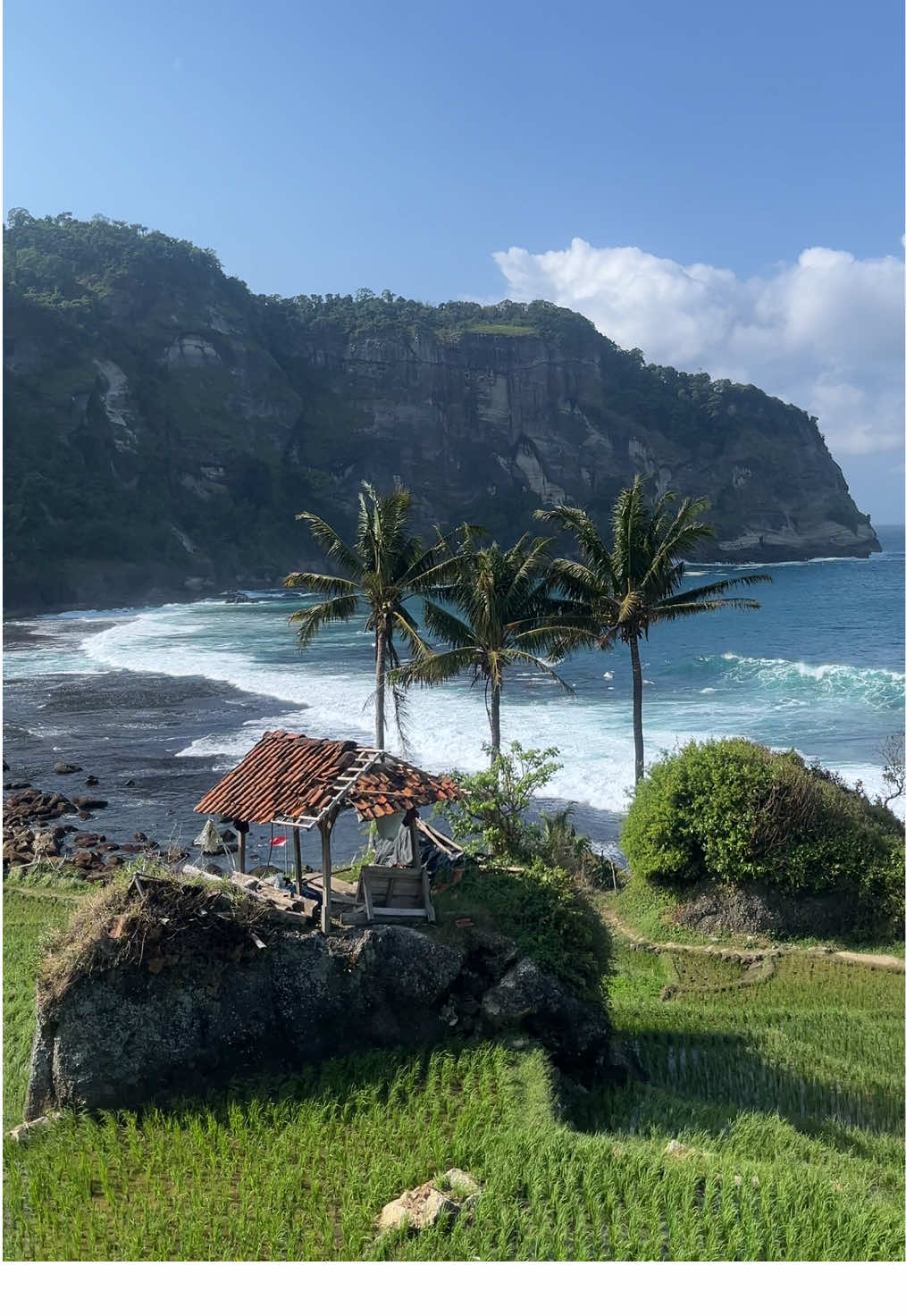 View premium ✨ #pacitan24jam #beach #nature #travelling #sea 