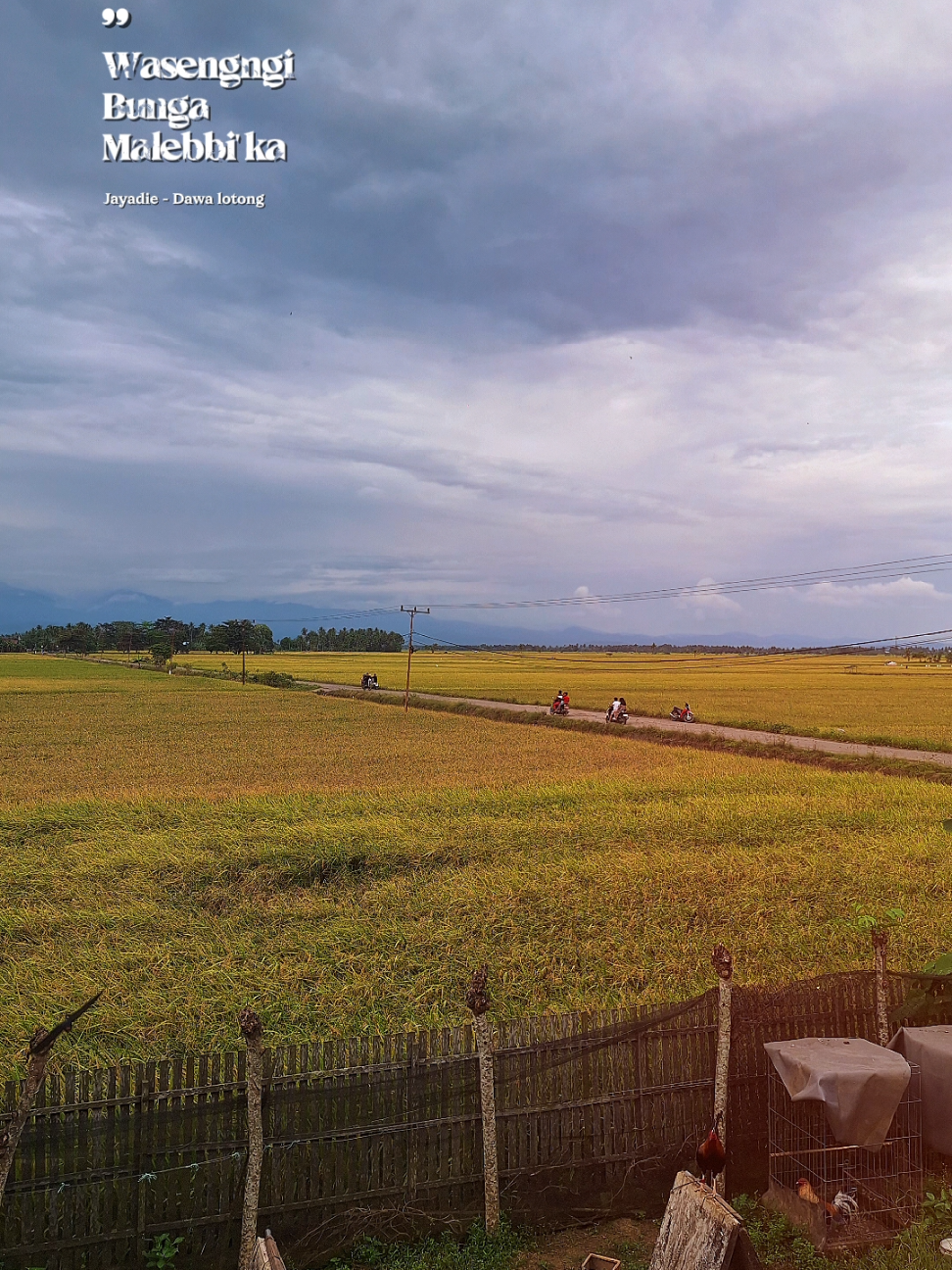 #CapCut dawa lotong #liriklagu #bugisvirql #fyp 