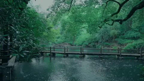 “Hoa rơi hữu ý, nước chảy vô tình. Chớ để ân oán tình thù, làm lụi tàn nét thuần khiết của hoa.” - Lạnh Lẽo #lanhleo #ost #tamsinhtamthethaplydaohoa #tuyetlacsontrang #truongbichthan 