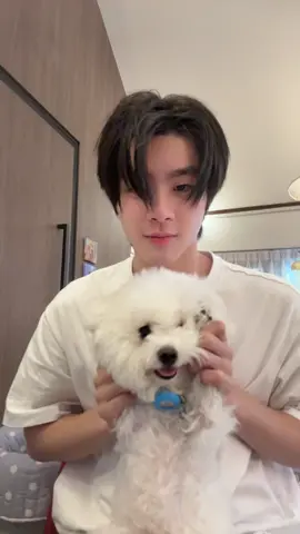 🐶🐶🐶@Asher_rr #kinthanachai 