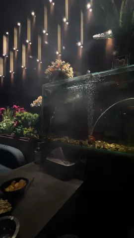 #كربلاء_المقدسة #مطعم_حكاية_#الشعب_الصيني_ماله_حل😂😂 #حي_الحسين_كربلاء #مالي_خلق_احط_هاشتاقات🧢 