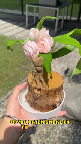 #plants #luckytree #homegarden #lucky #luckywood 