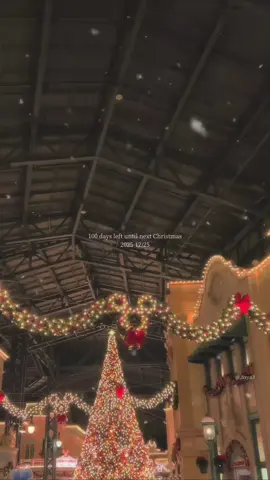 クリスマスまで後100日🍀︎ ̖́- クリスマス楽しみ🎄 #クリスマス #いいね返す #儚い #田舎民 