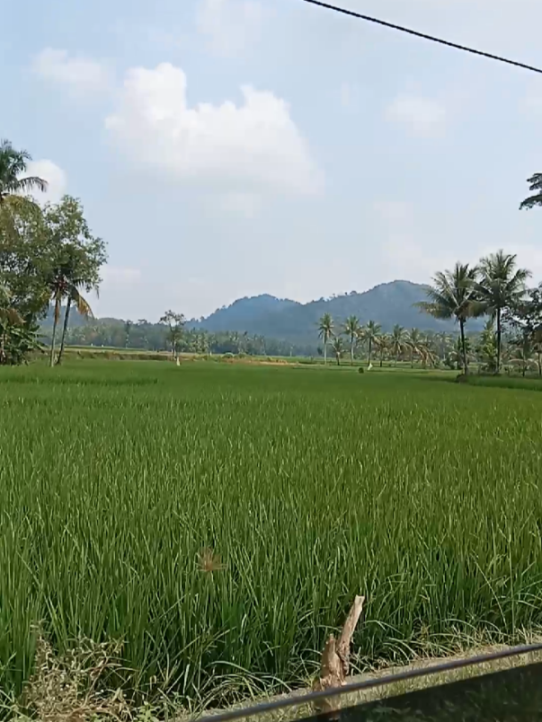 Permudah dan lancarkan segala urusan kami Ya Robb.. 🤲🏻 #anaksholihmondok  #anaksantrikeren  #santripondok  #barokahsantri