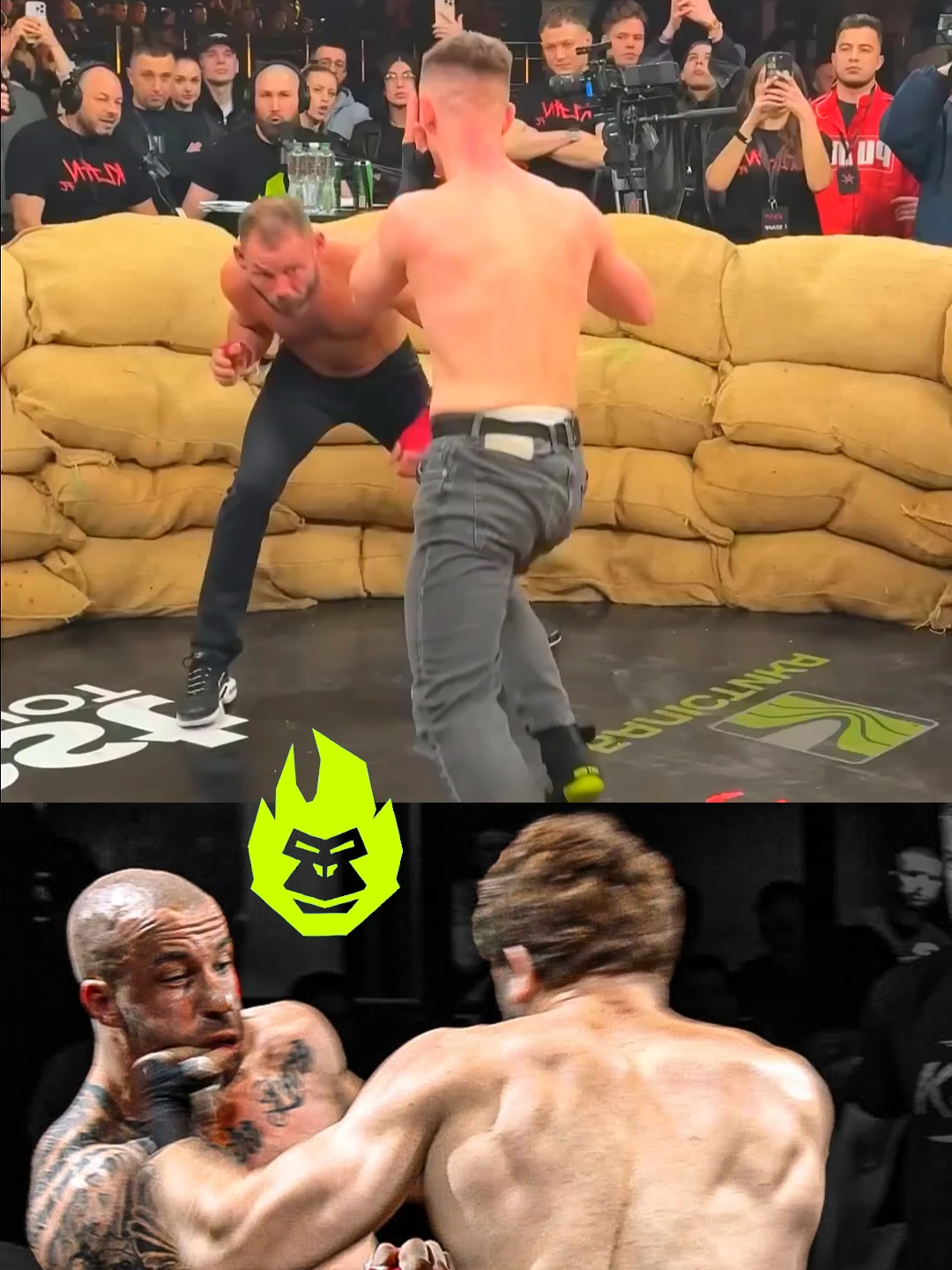 #ttgorilla0 #ttgorillatut