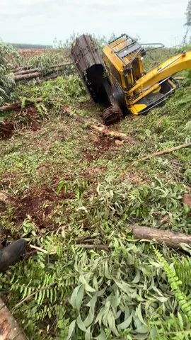 #excavator #fypdong #xyzbca #lewatberanda #CapCut 