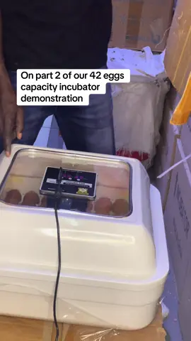 The final stages of hatching 🐣  ✨Start your own hatchery today~our incubator make it easy💯 📞0723958428 📍 Nairobi Taveta road, Midtown Business Centre 2nd floor room S56. 📍 Mlolongo Kutch road,Emerald Business Park  ✅Deliveries available countrywide  #eggincubator #eggstochicks #incubationjourney #incubationsuccess #kenyantiktok🇰🇪