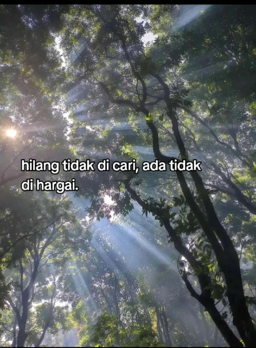 ... 📝Bahan-bahan: 1 cangkir tepung terigu 1/2 cangkir air 1/4 sendok teh garam 1/4 sendok teh merica bubuk - 1/4 sendok teh baking powder Sayuran (seperti kol, wortel, dan daun bawang), iris-iris Minyak goreng secukupnya Cara membuat: 1. Membuat adonan: Campur tepung terigu, air, garam, merica bubuk, dan baking powder. Aduk rata. 2. Menambahkan sayuran: Tambahkan sayuran iris ke dalam adonan, aduk rata. 3. Menggoreng: Goreng adonan bakwan sayur dalam minyak goreng panas hingga berwarna keemasan dan crispy. 4. Menyajikan: Sajikan bakwan sayur dengan saus favorit Anda (seperti kecap manis atau sambal). Tips: - Gunakan sayuran yang segar untuk hasil yang lebih baik. Sesuaikan jumlah minyak goreng dengan kebutuhan Anda. -Bakwan sayur dapat disajikan sebagai hidangan ringan atau sebagai cemilan. #foryoupage #masukberanda 